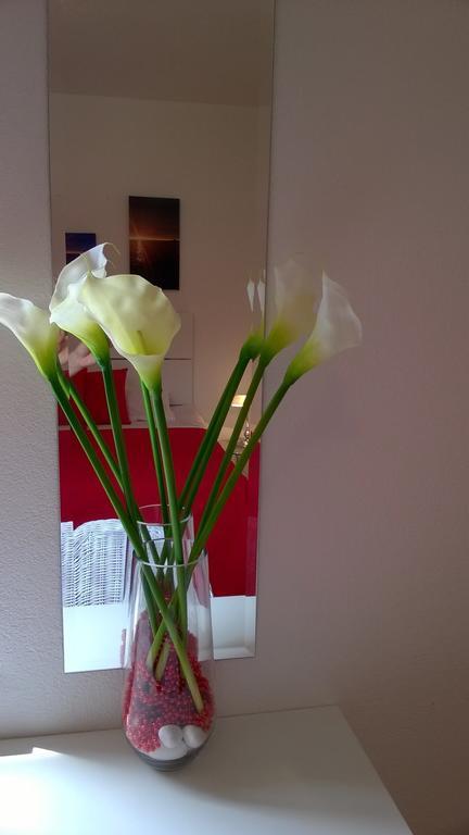 דירות חוואר Cozy New Flat For 2 Or 3 מראה חיצוני תמונה