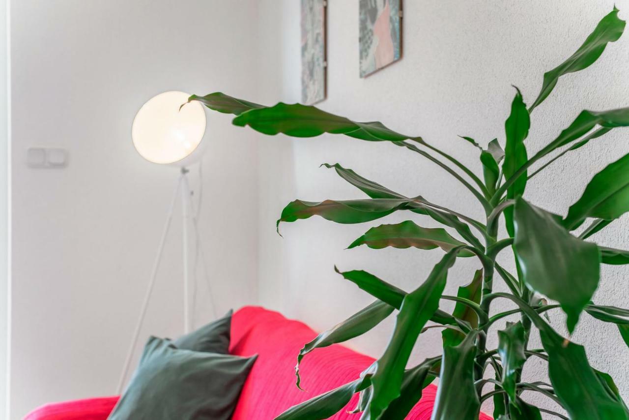 דירות חוואר Cozy New Flat For 2 Or 3 מראה חיצוני תמונה